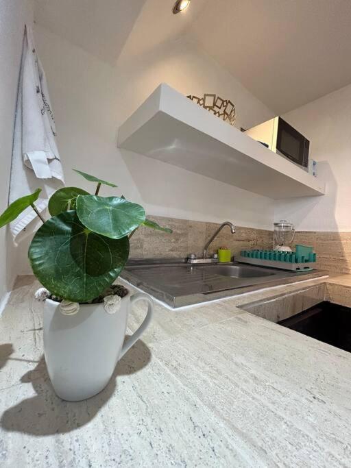 La Dorada 5 Apartment *
