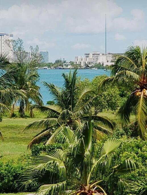 La Dorada 5 Cancun