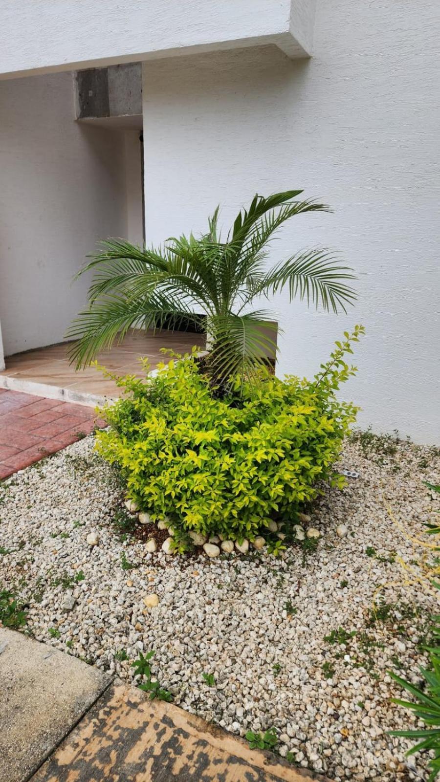 Casa Apartment *
