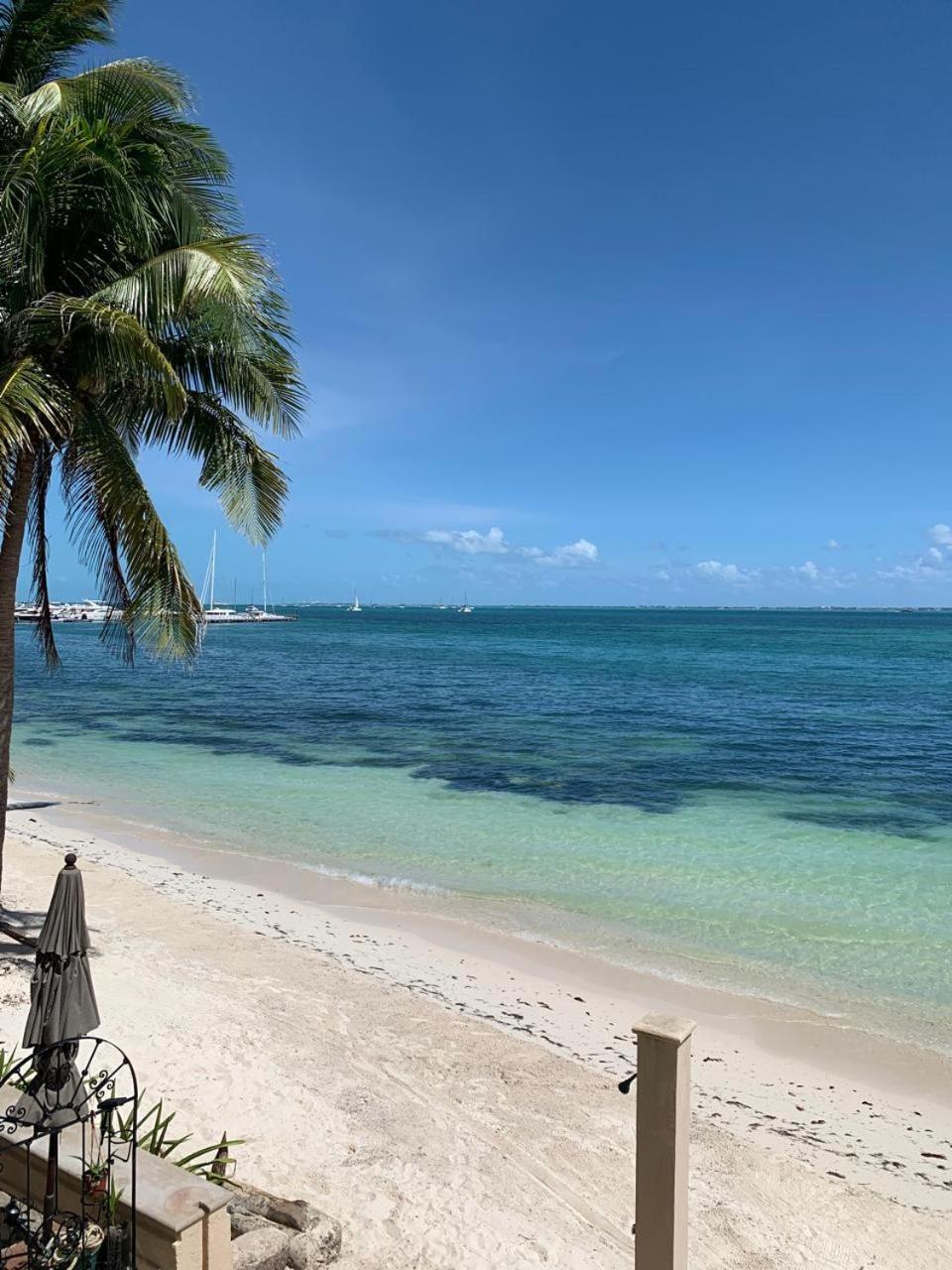 Ocean View Flamingo
