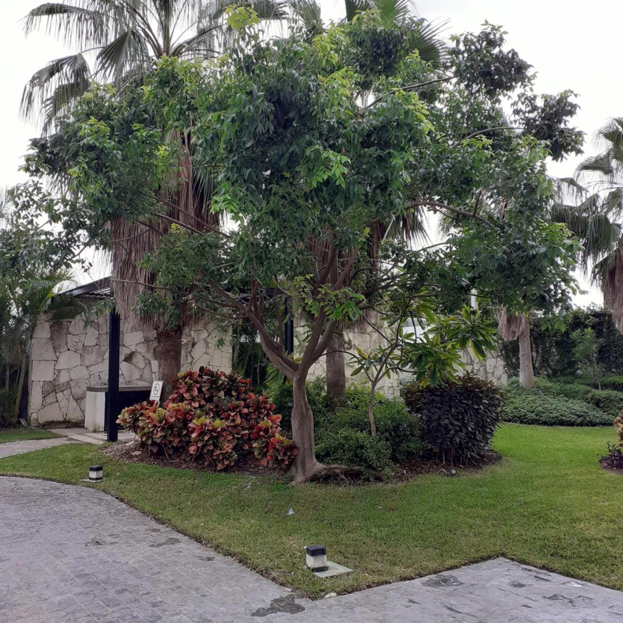 Travel * Cancun