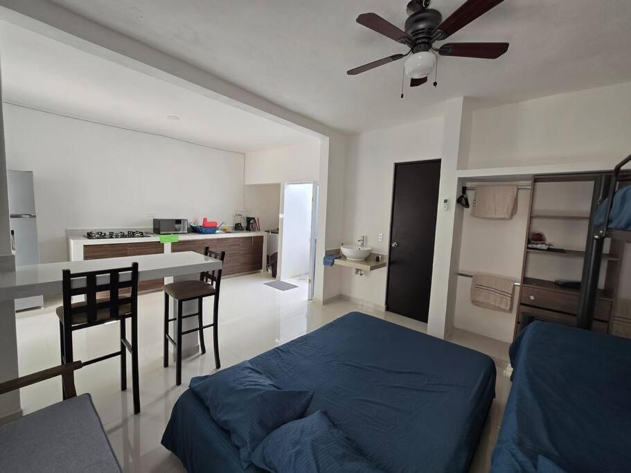 Excelente Estudio En El Centro Apartment