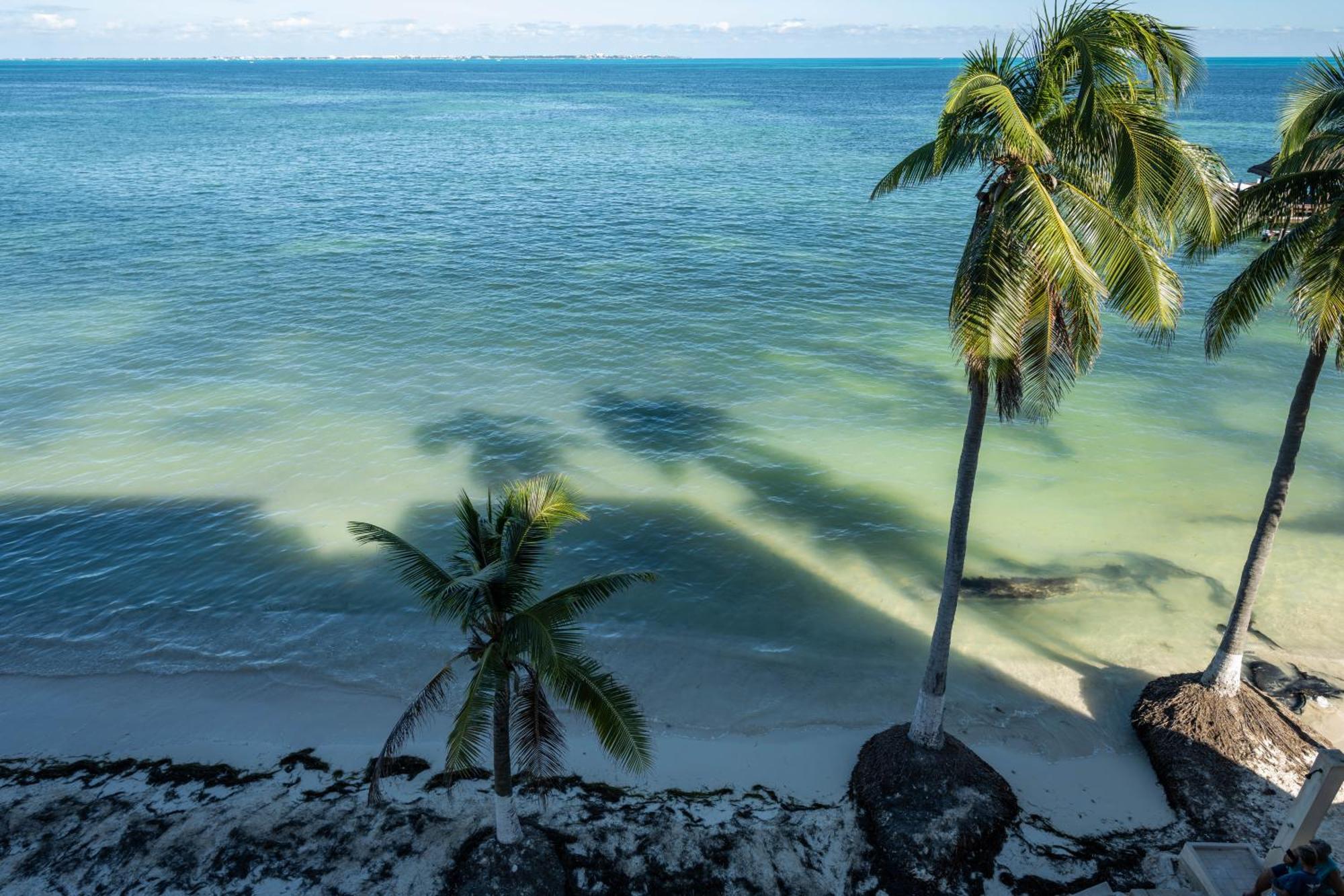 Apartment Beachfront Con Magnifica Vista