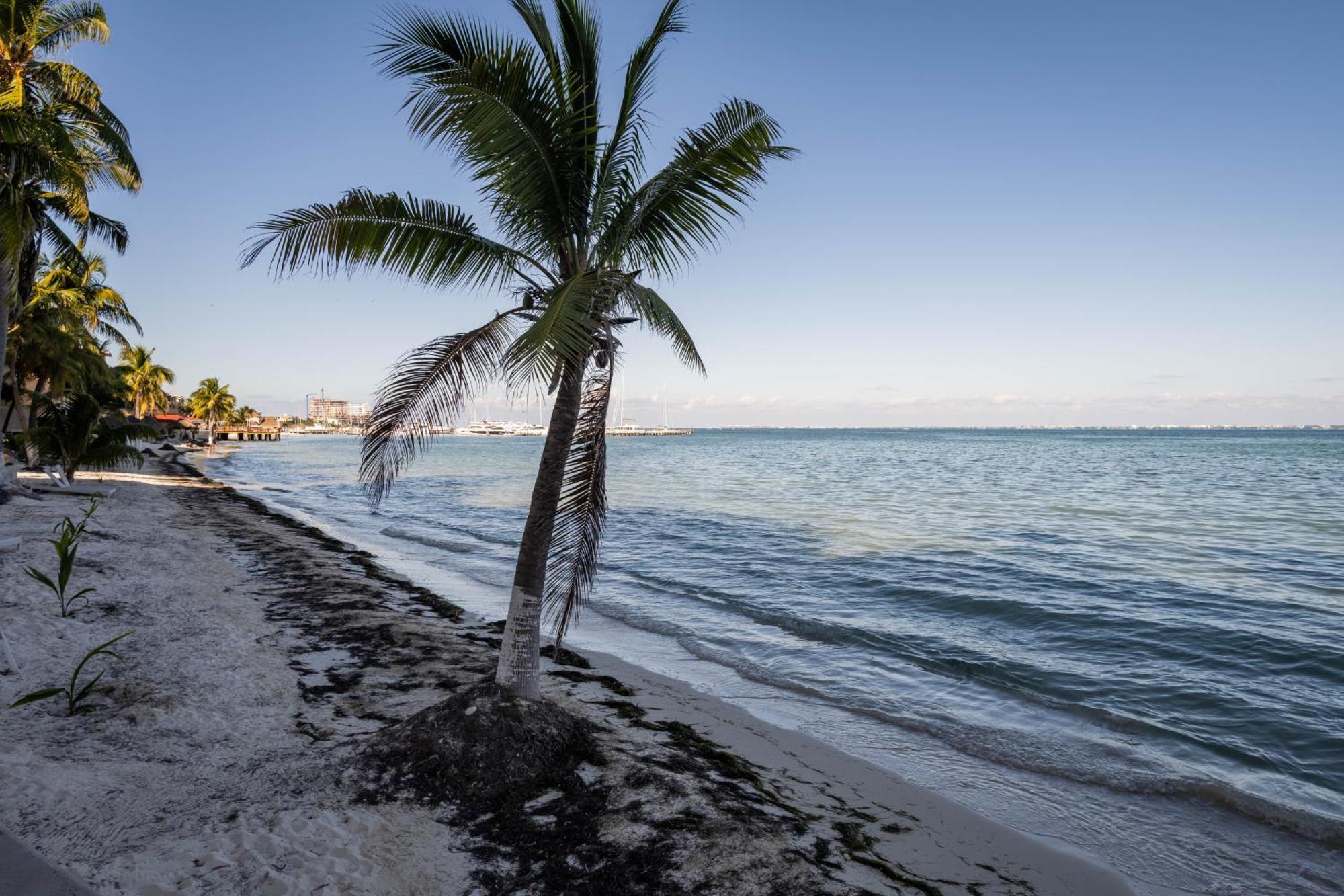 Beachfront Con Magnifica Vista * Cancun