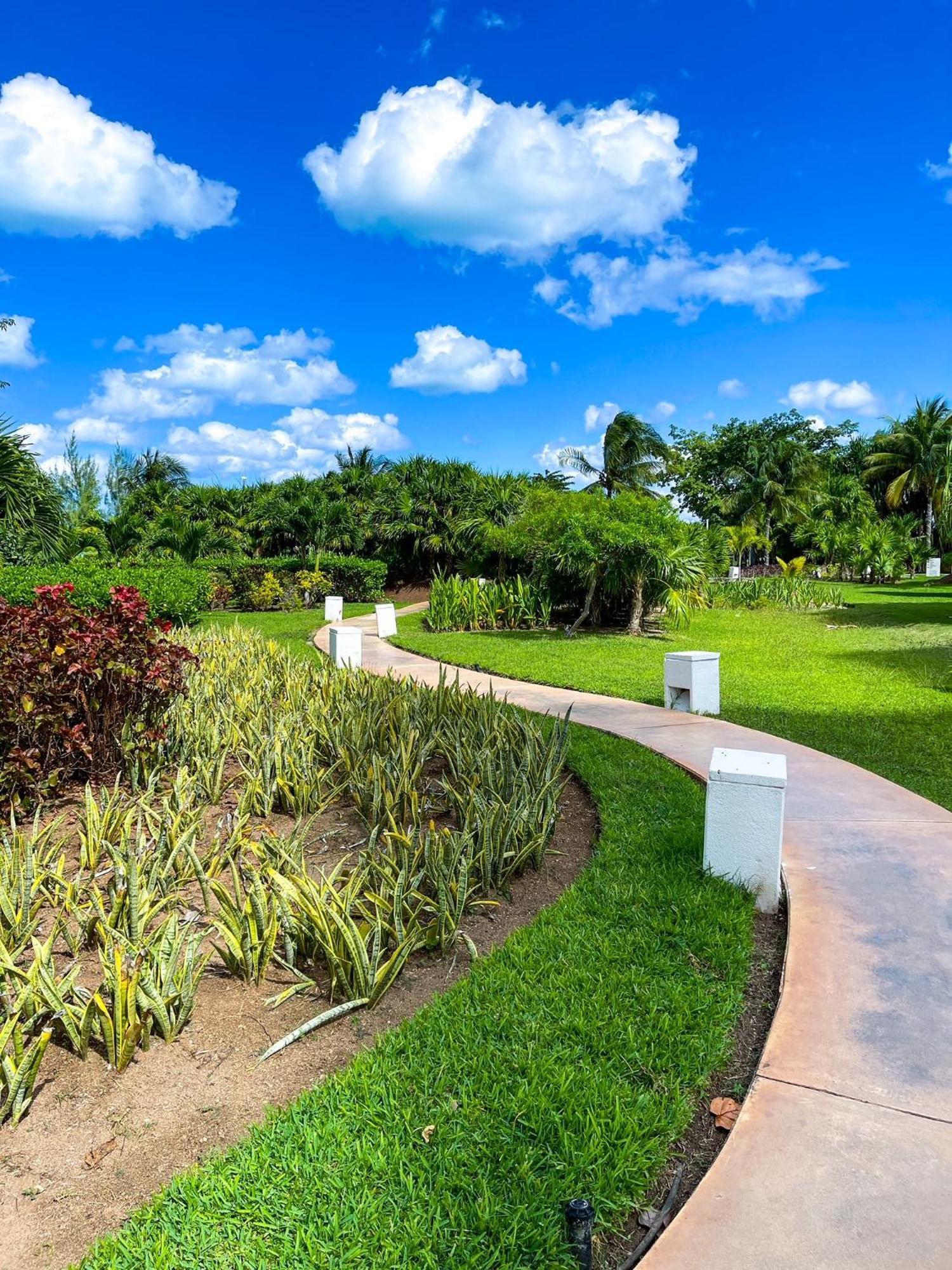 Apartment Luxury Ocean View & Front In The Location Of Cancun