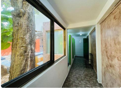 Ahava Guest house *