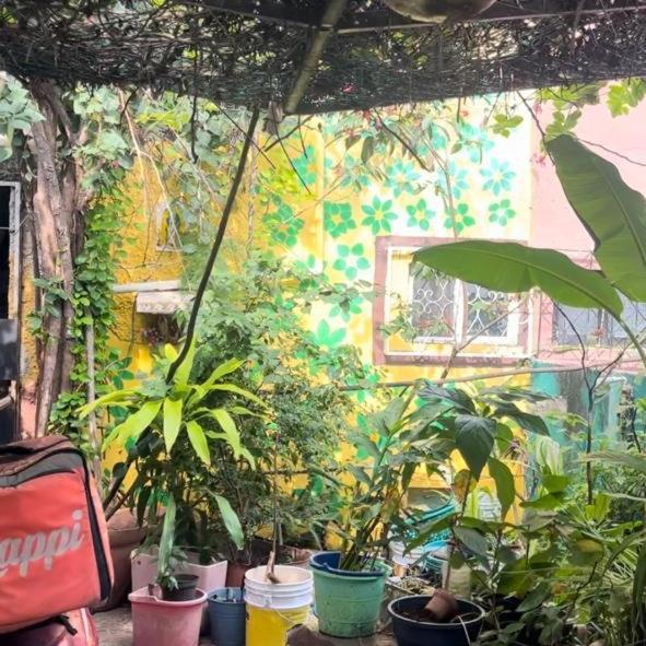 Homestay La Casita 28 *