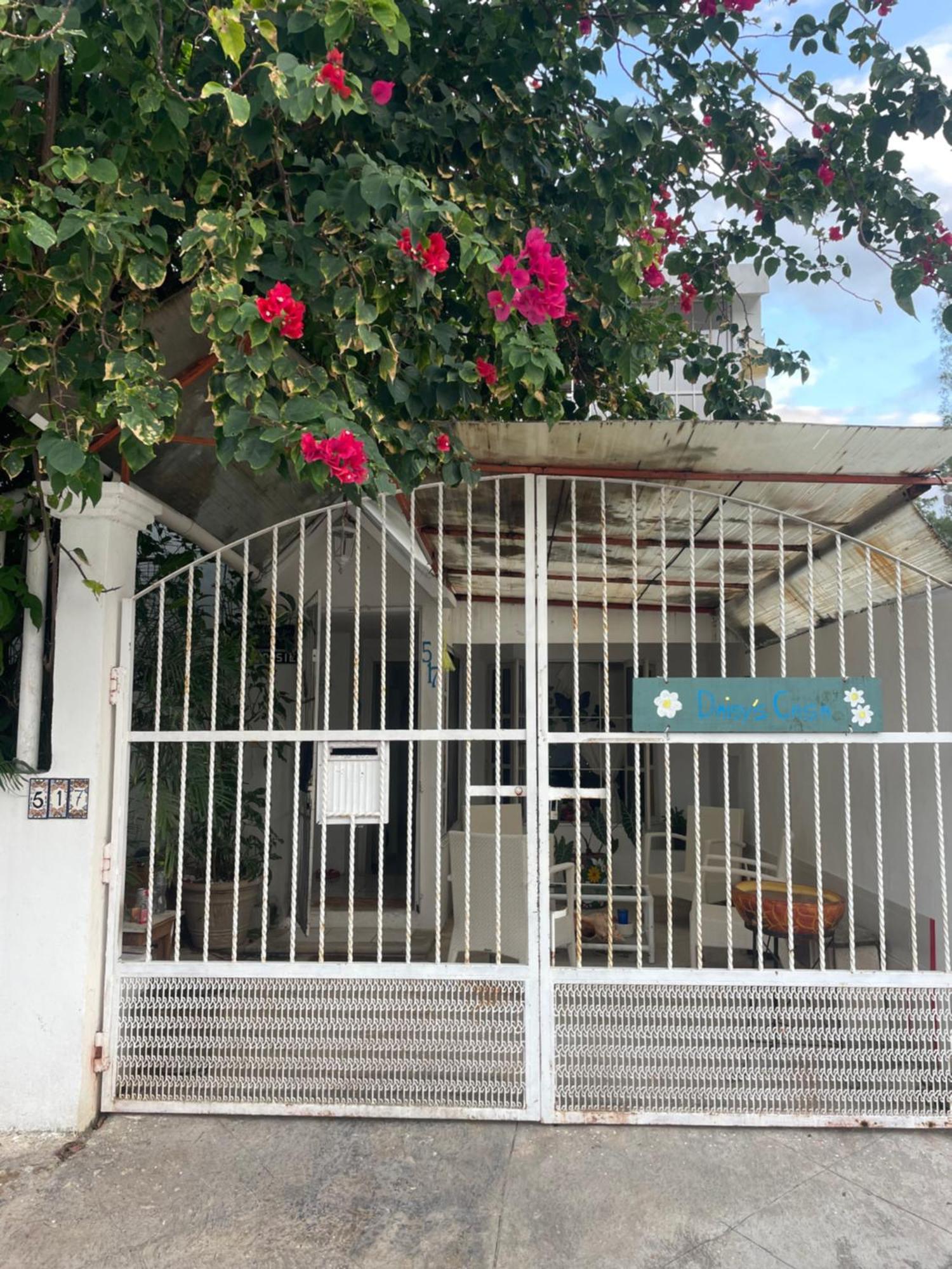 Daisys Beach Casa Guest house *