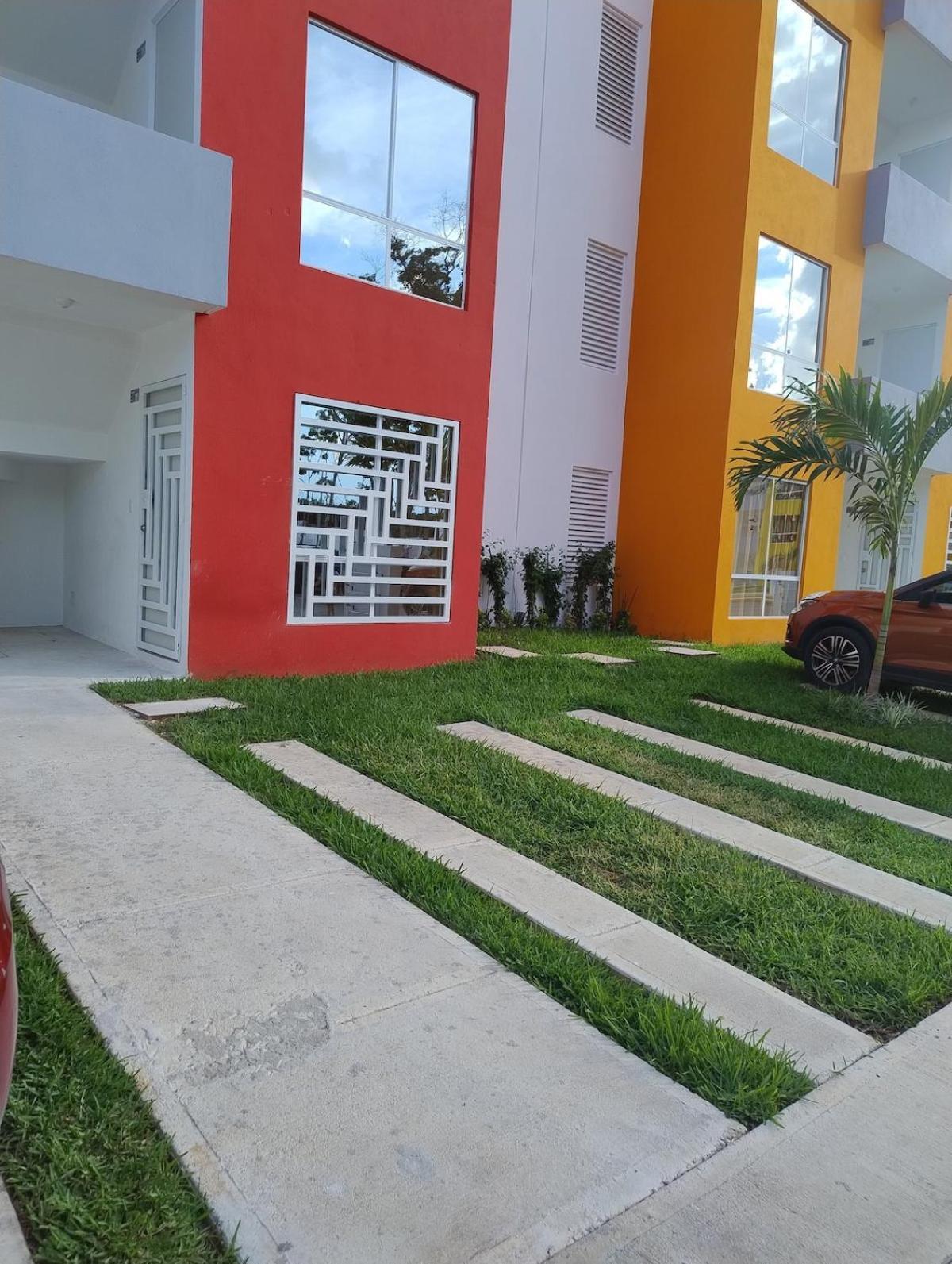 Dreams Of Arena In The Jungle Of Cancun