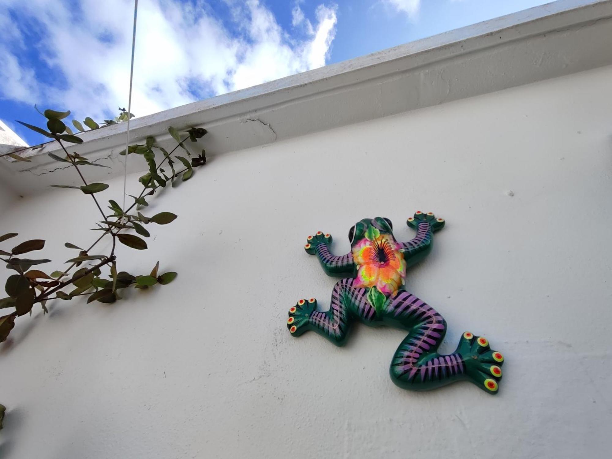 Casa Cebra By The - Playa Del Nino * Cancun