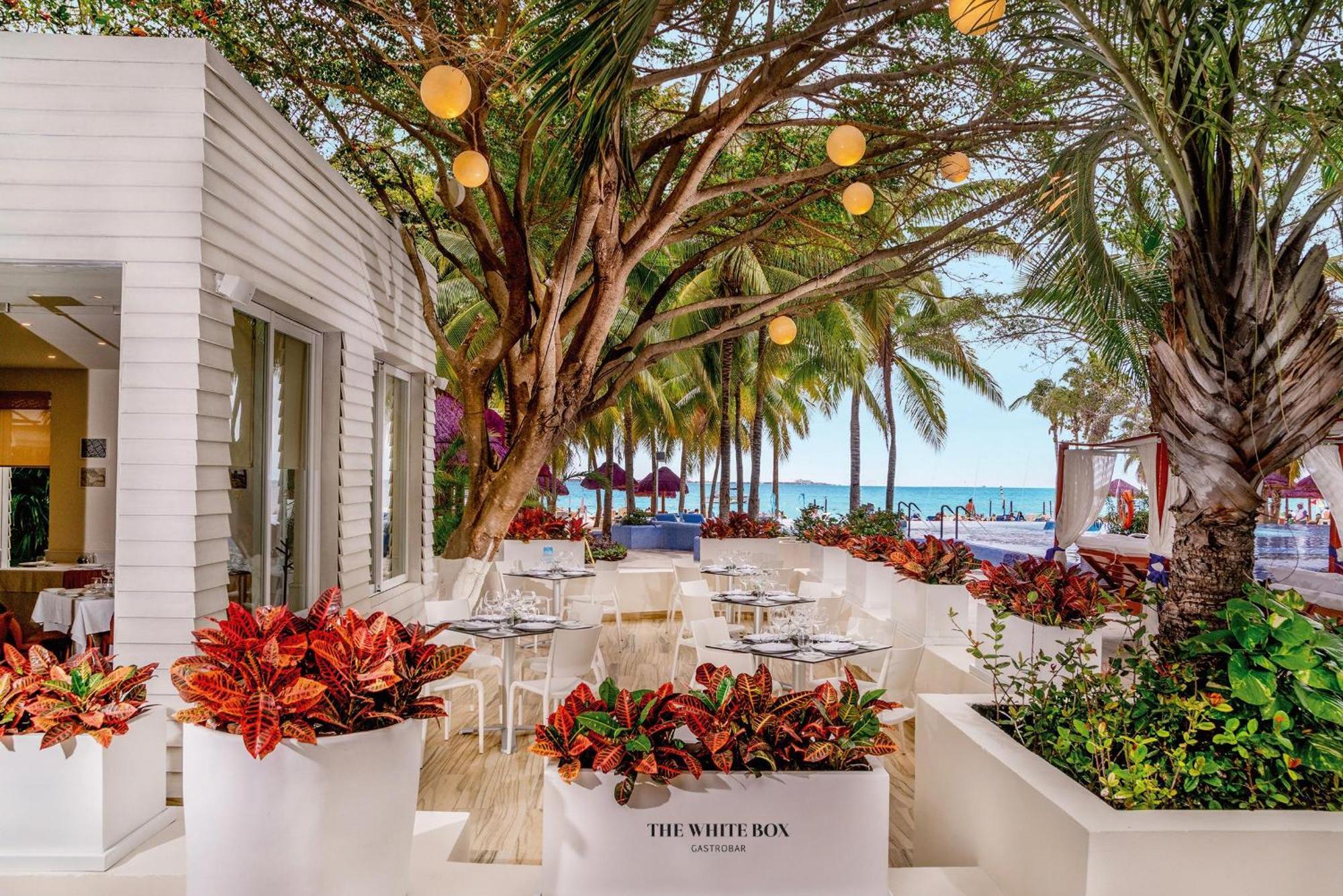 The Sens By Oasis (adults Only) Resort Cancún