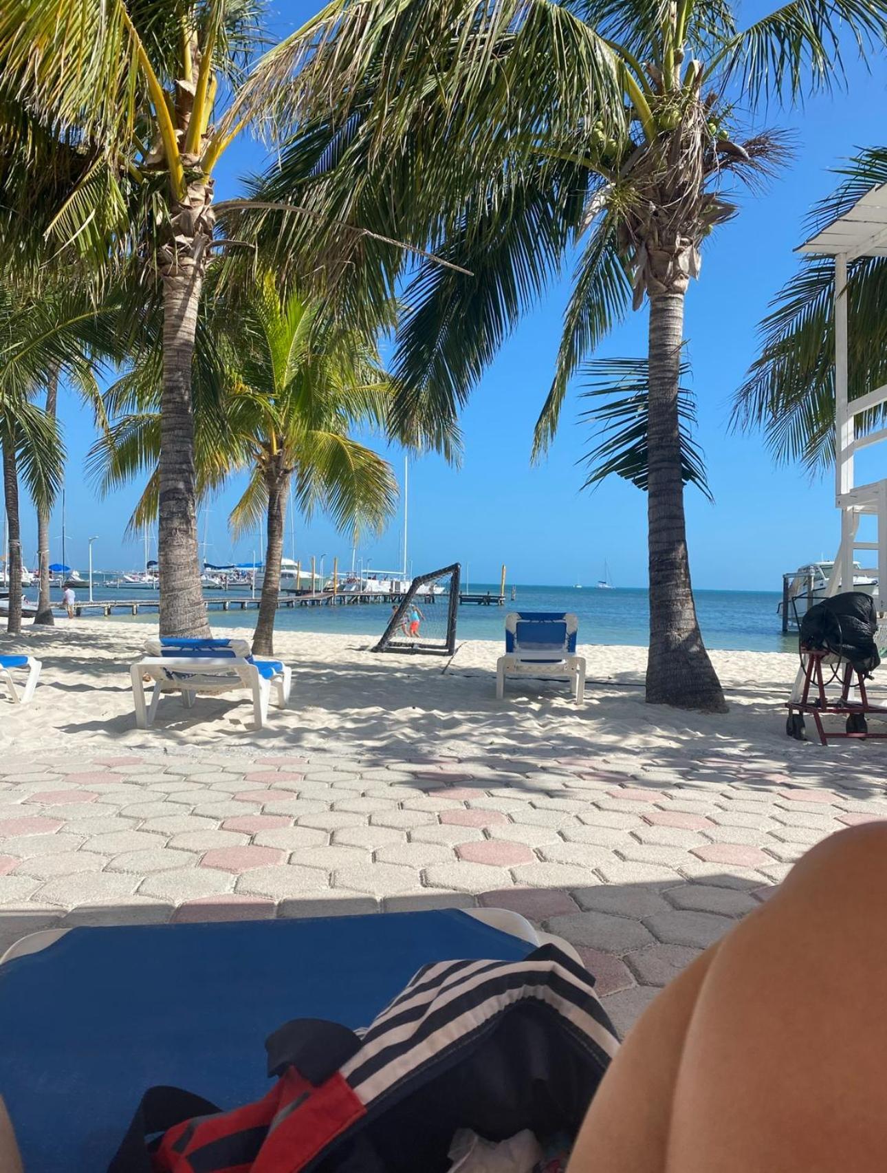 Estudio En La Playa De