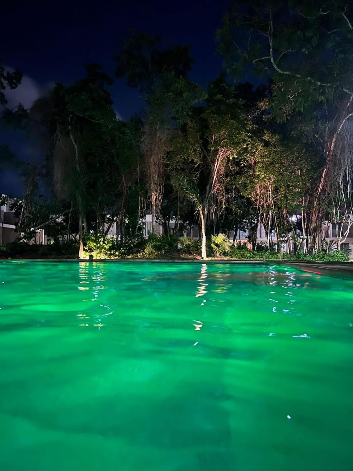 Turquoise Reflection! *