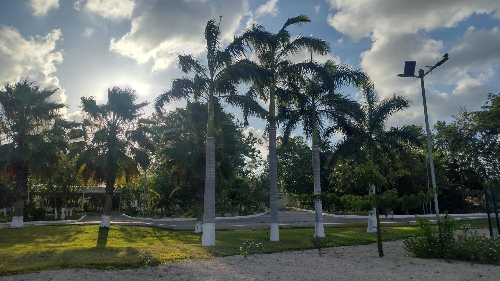Farfallas Casita, Essence & Incense Camping Cancún