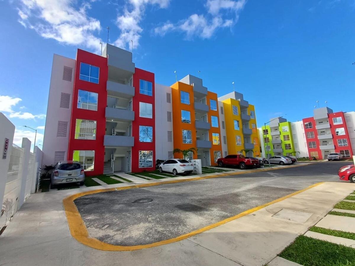 Apartment Dreams Of Arena In The Jungle Of *