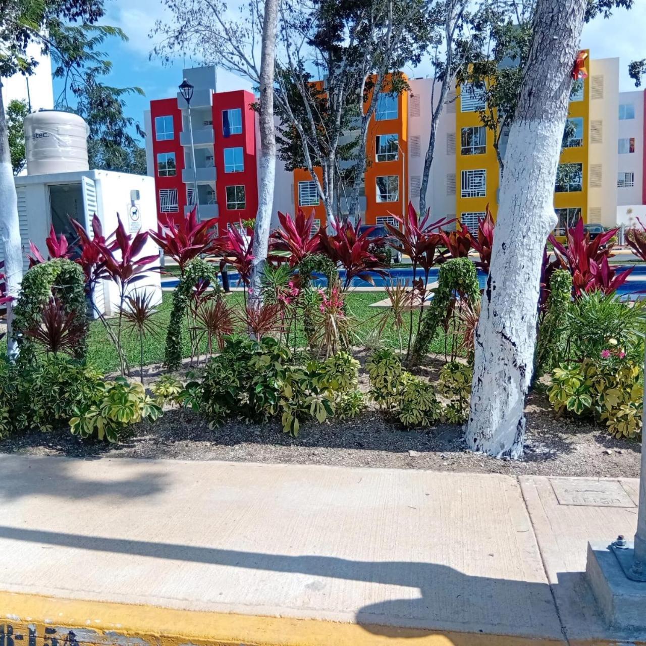 Apartment Dreams Of Arena In The Jungle Of