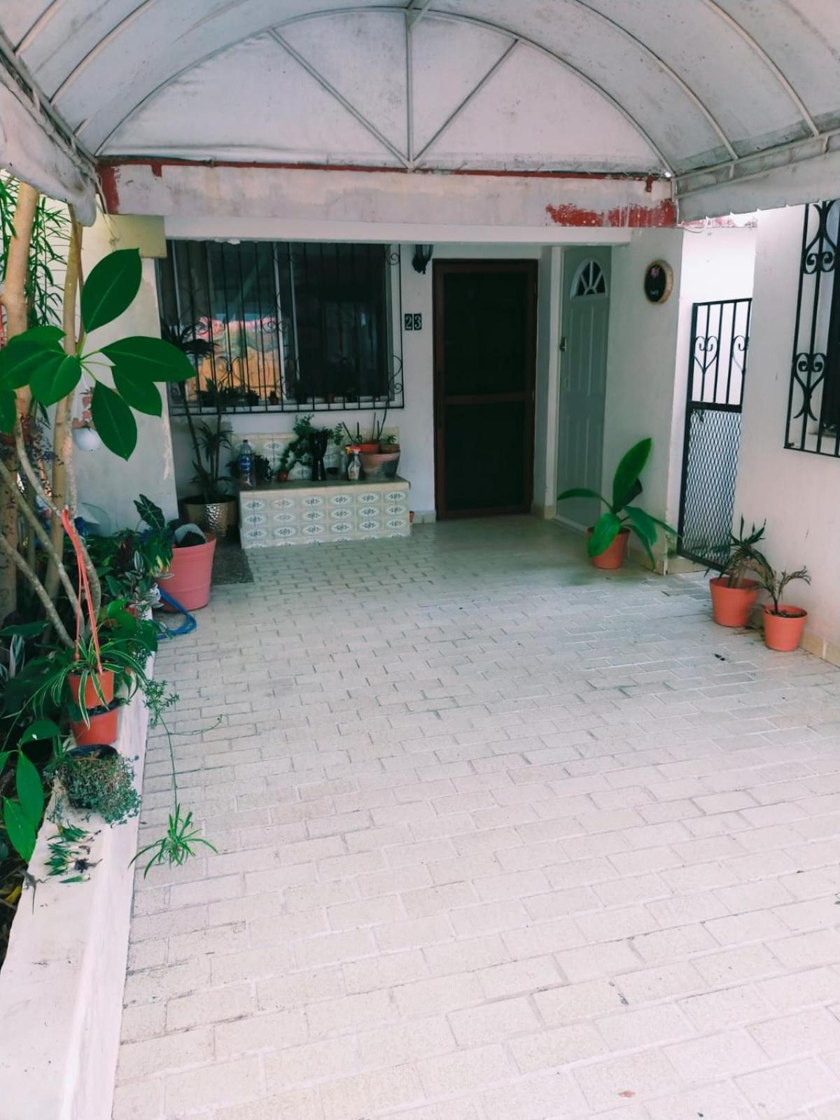Loft Soliman - Netflix - Hbo - Near Market 28 - Downtown * Cancun