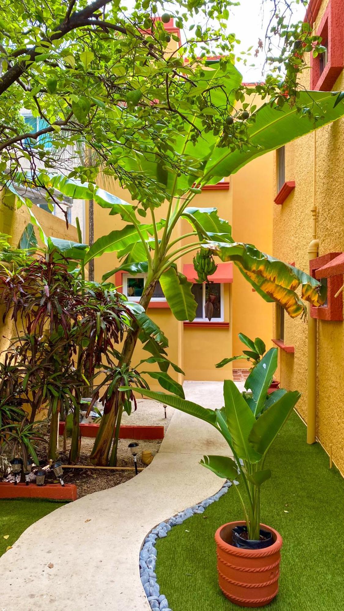 San Juan Apartment *