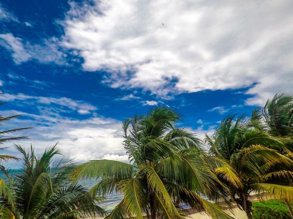 Punta Me * Cancun