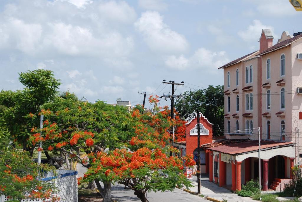 Tankah Hotel Cancún