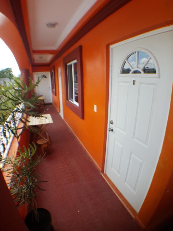 Apartment Edificio Palmas *