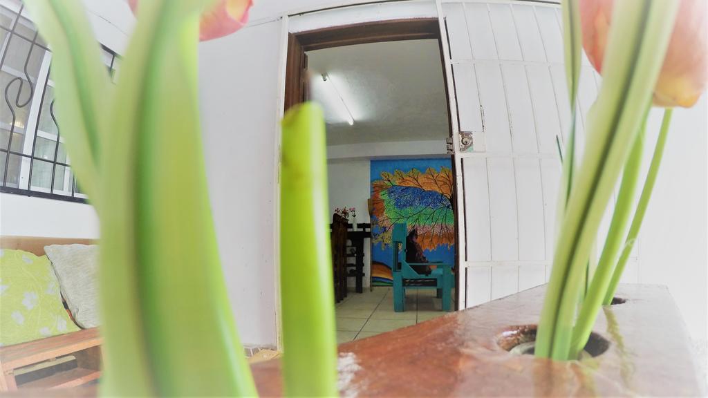 La Casa Del Arbol *