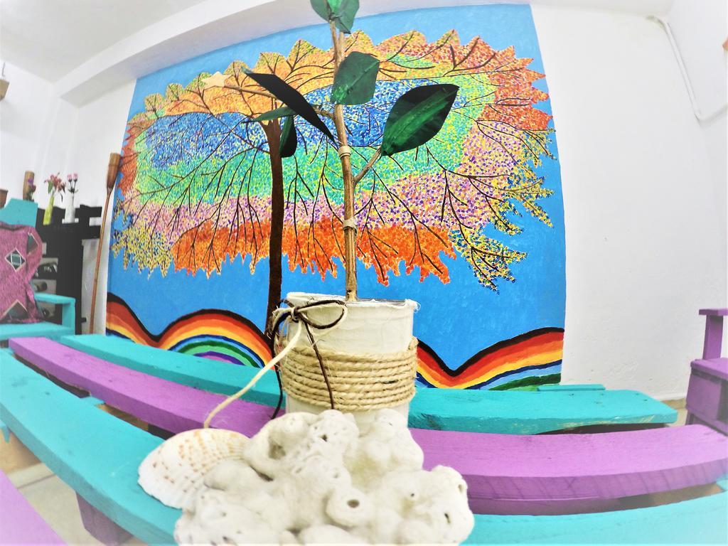 La Casa Del Arbol * Cancun