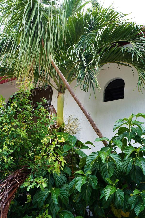 Homestay Lava House