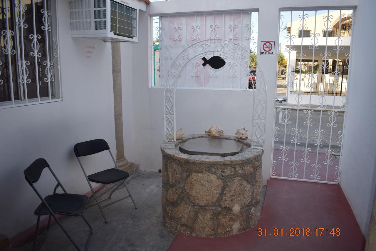 Casa Erizo 8 Homestay *