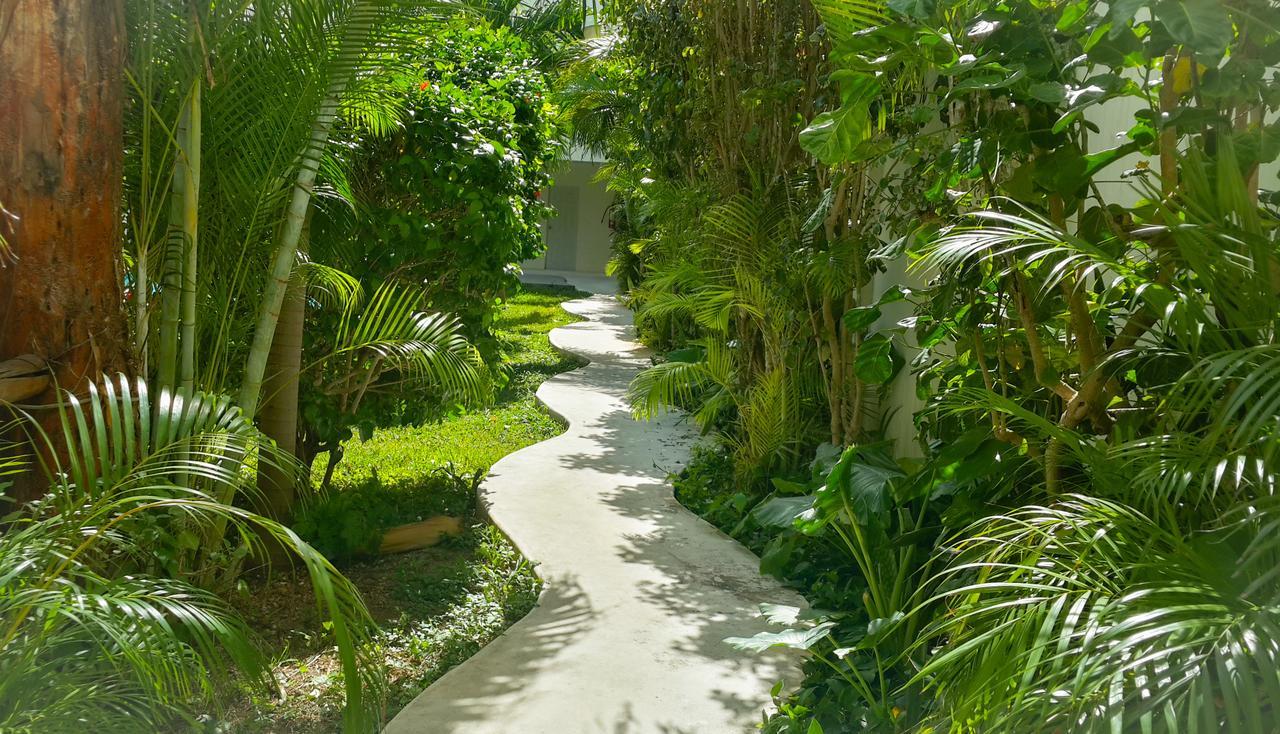 Meson De Tulum Cancún