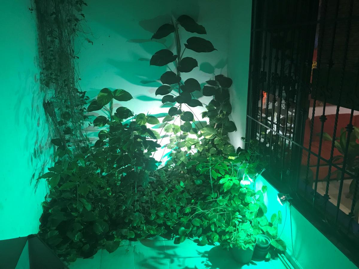 Casa Jaguar * Cancun