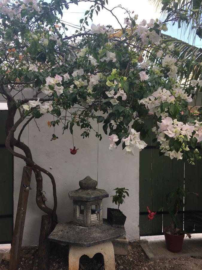 Violeta's House * Cancun