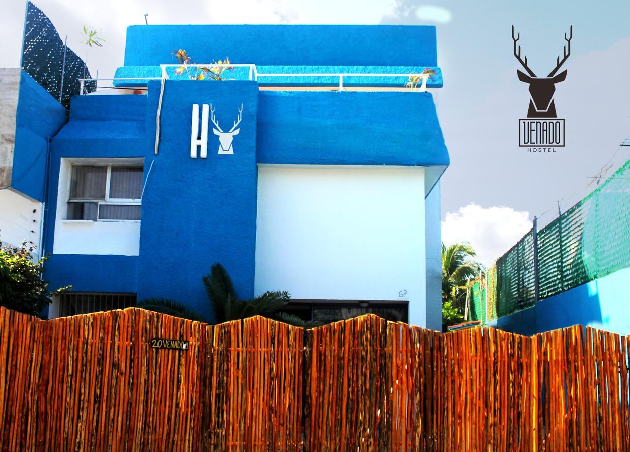 Venado Guest house