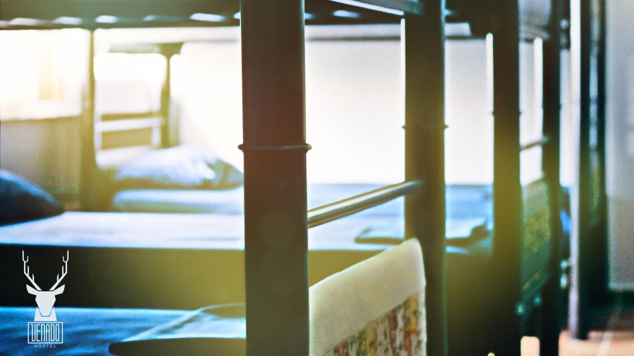 Venado Guest house