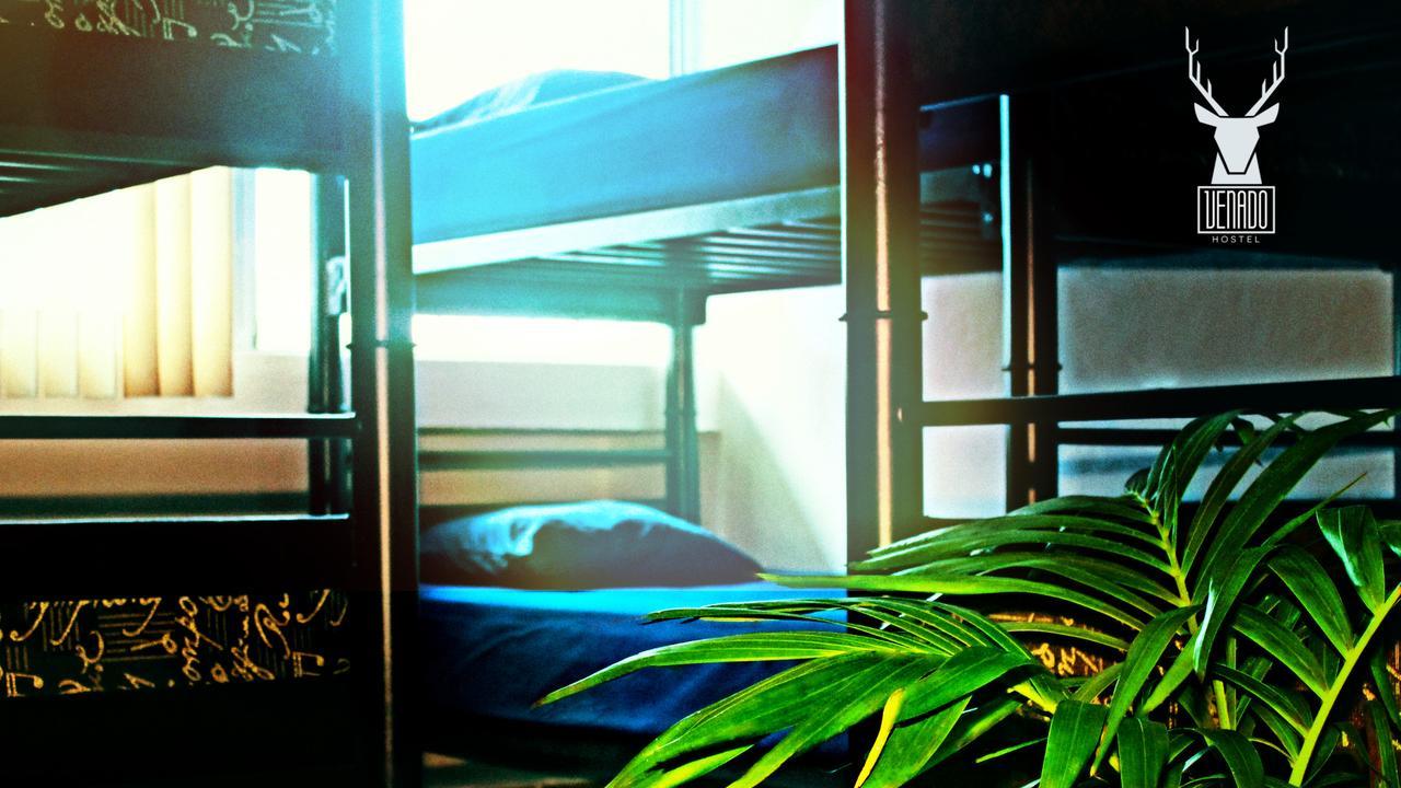 Venado Guest house Cancun