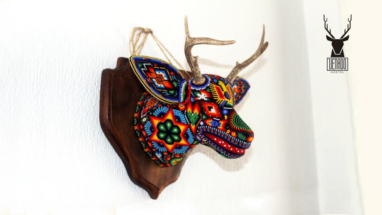Venado Guest house *