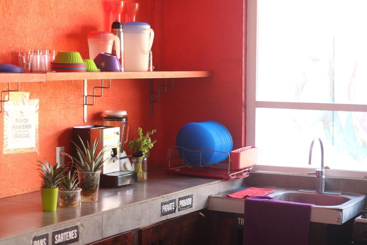 Orquideas Hostel