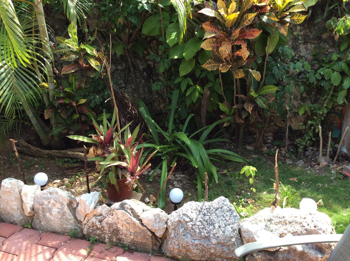 Frühstückspension La Casa De Piedra
