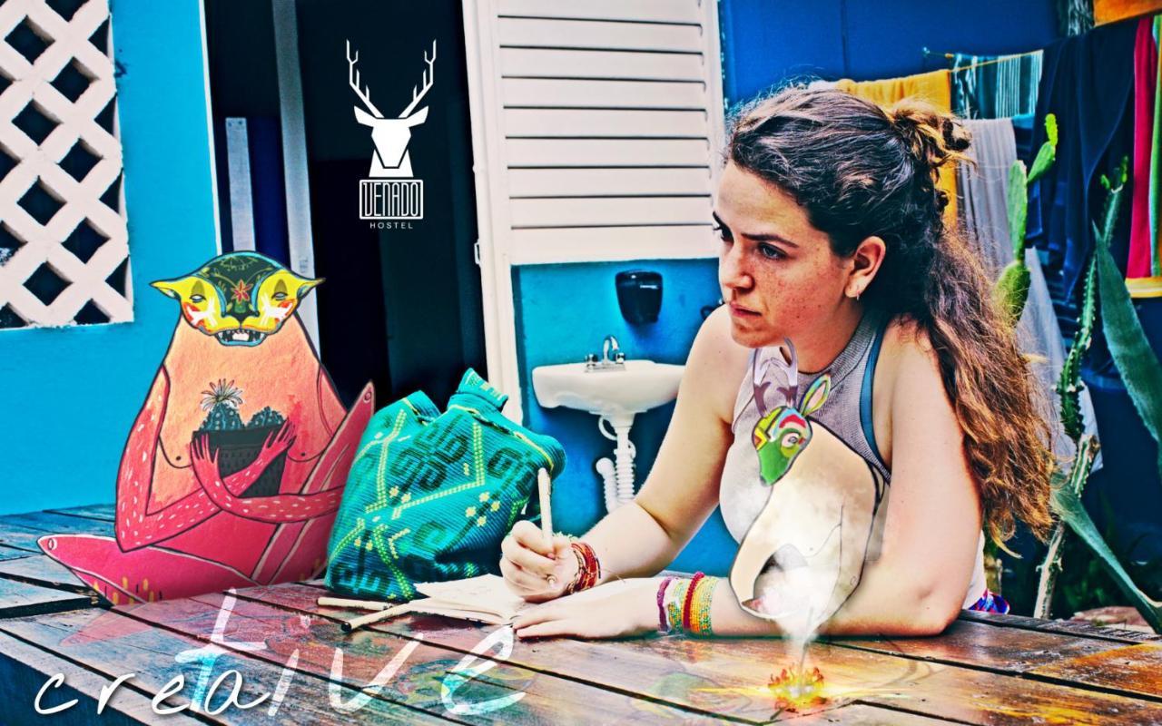 Venado Guest house Cancun
