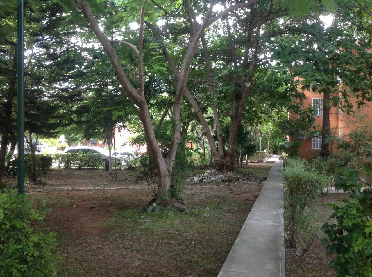 Apartment Departamento Tucan