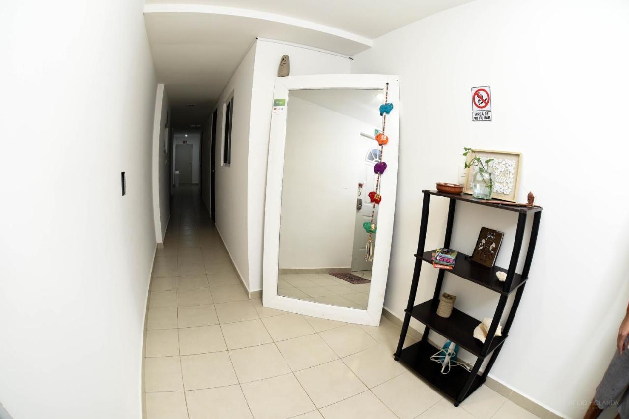 - Zone Apartment *