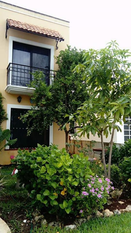 El Limonazo Homestay Cancun