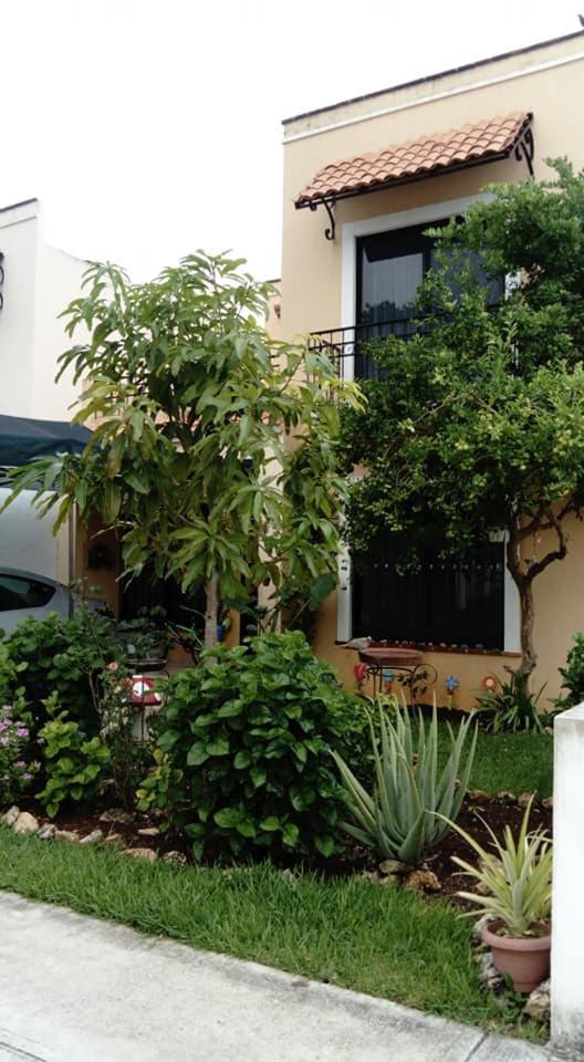 El Limonazo Homestay Cancun