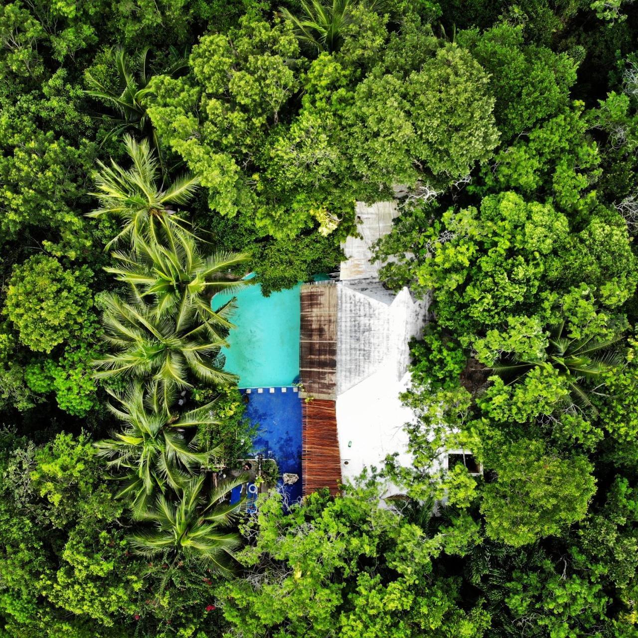 Jungle Aeropuerto Homestay Cancun