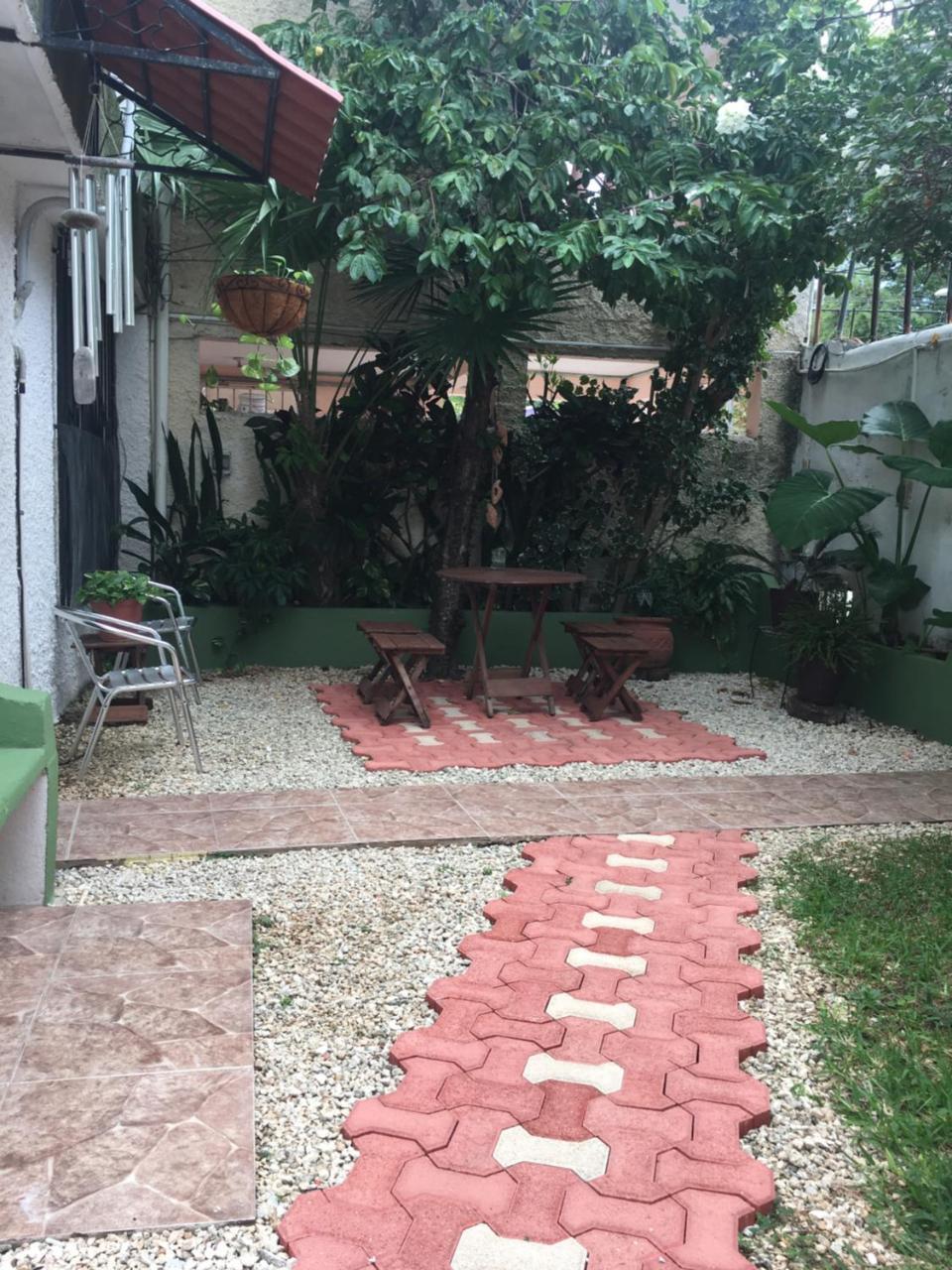 Violeta's House Apartment *