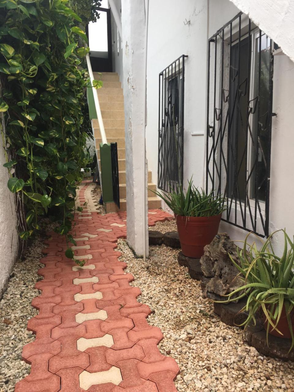 Violeta's House Cancun