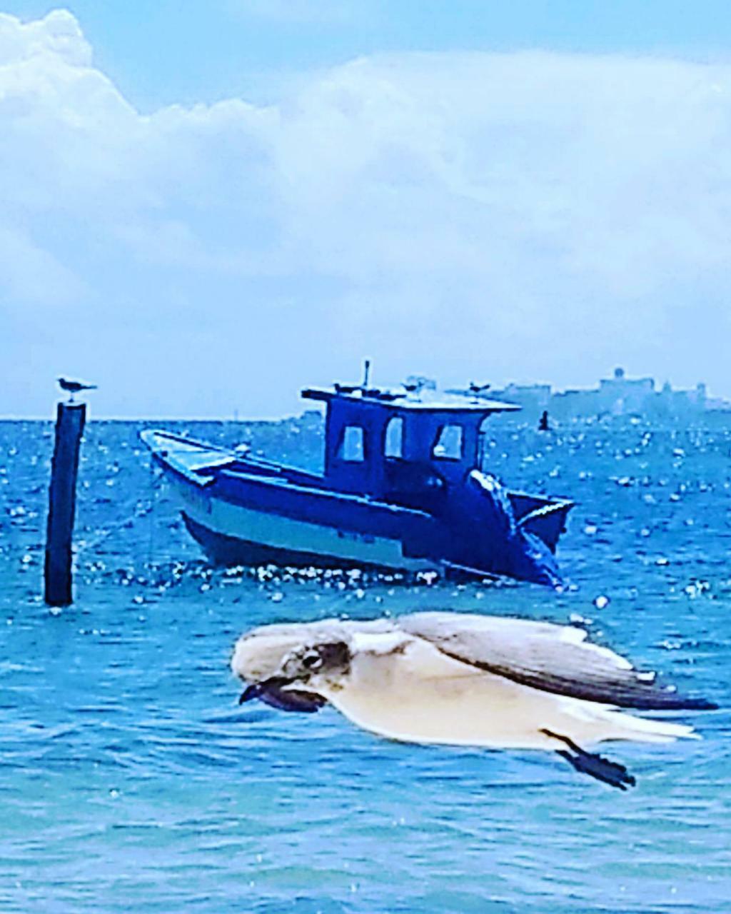 Privatunterkunft Tu Casa En El Caribe