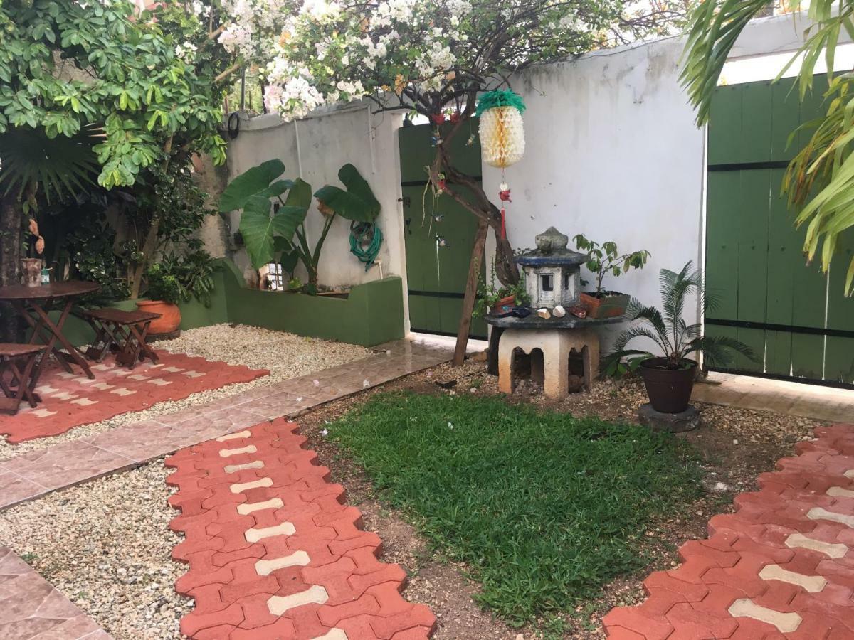 Violeta's House Apartment *