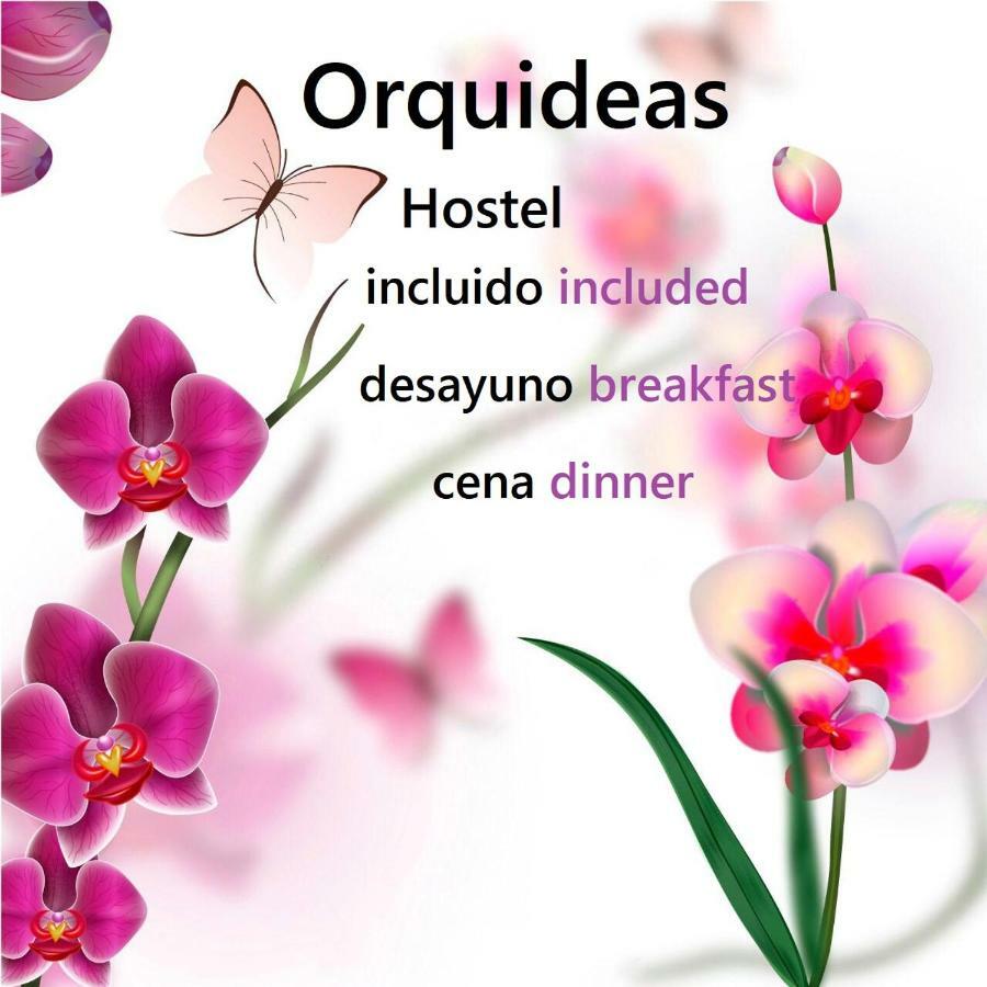 Orquideas Hostel