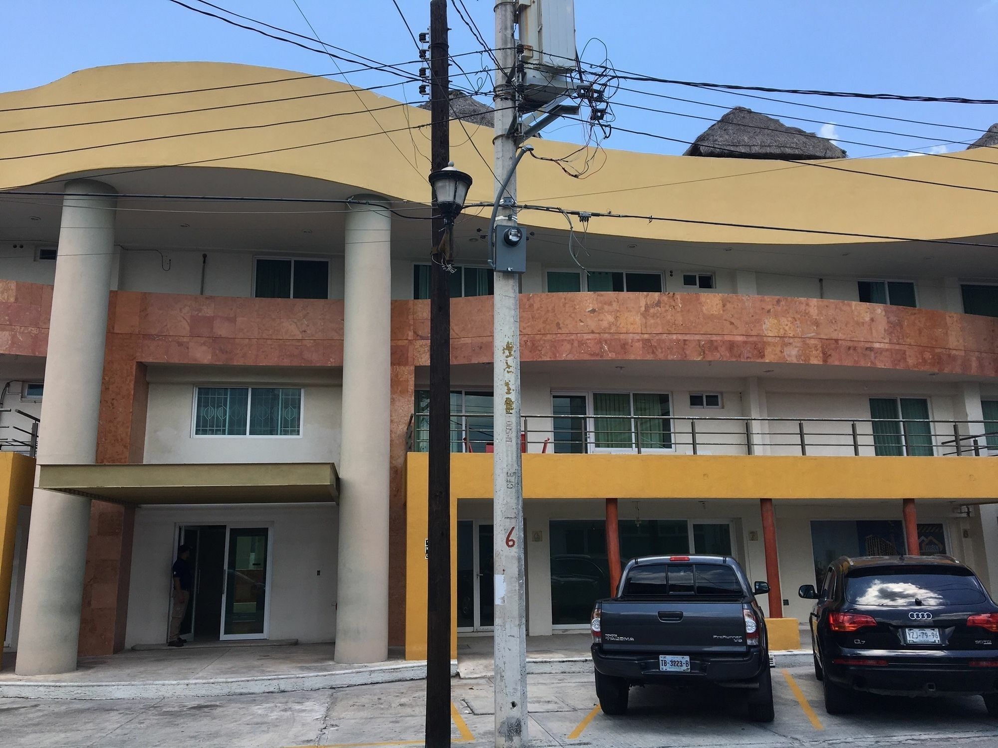 Crisantemos * Cancun